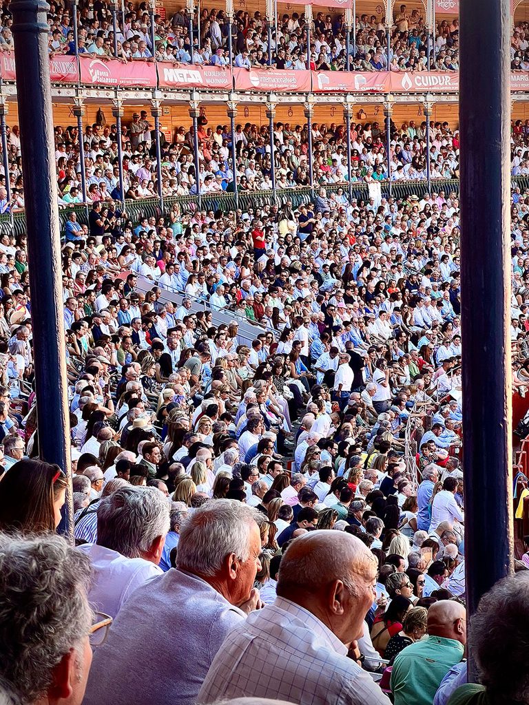 Un pomeriggio nell'arena: il rito della corrida spiegato da vicino 2 un pomeriggio nell arena il rito della corrida spiegato da vicino 1 768x1024 1