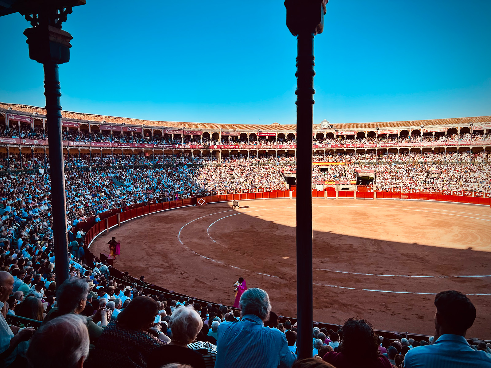 Un pomeriggio nell’arena: il rito della corrida spiegato da vicino